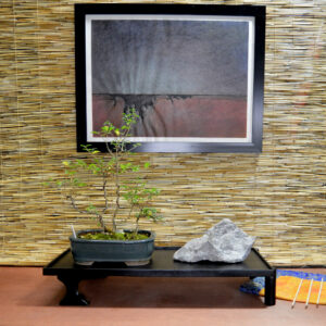 Bonsai Table #1