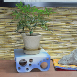 Bonsai Table #6